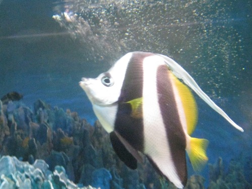 魚動物サンシャイン水族館４