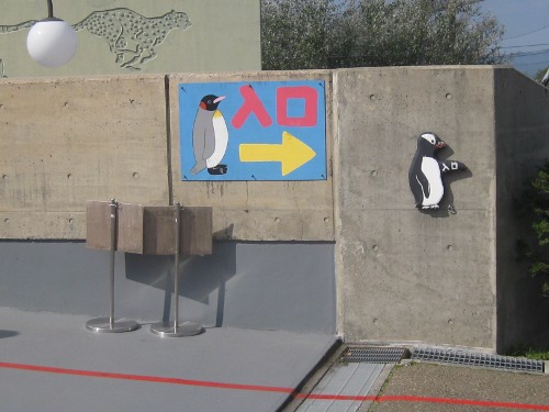 ペンギン旭山動物園２
