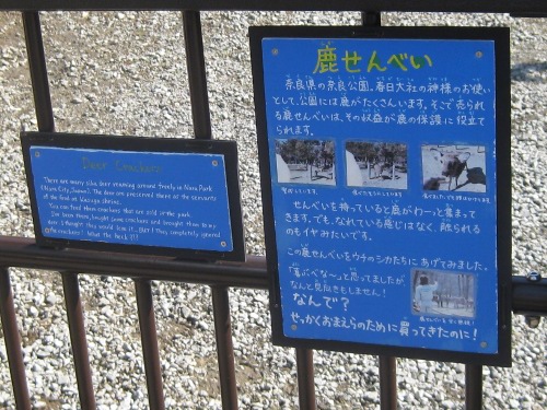 エゾ鹿・旭山動物園７