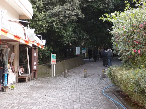 桜島城山展望台